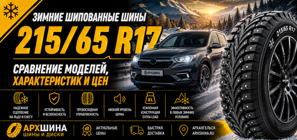 Зимние шипованные шины 215/65 R17 — сравнение моделей, характеристик и цен