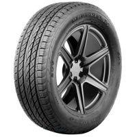 Купить шины Antares Majoris R1 295/35 R21 107W,  купить Шины Antares Majoris R1 295/35 R21 107W в Архангельске,Северодвинске, Новодвинске, Плесецке, Мирном, Нарьян-маре,