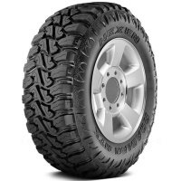 Купить шины Nexen Roadian MTX RM7 33/12.5 R17 121Q,  купить Шины Nexen Roadian MTX RM7 33/12.5 R17 121Q в Архангельске,Северодвинске, Новодвинске, Плесецке, Мирном, Нарьян-маре,