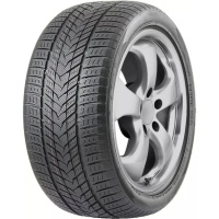 Купить шины Roadmarch Winterxpro 999 245/45 R19 102H XL,  купить Шины Roadmarch Winterxpro 999 245/45 R19 102H XL в Архангельске,Северодвинске, Новодвинске, Плесецке, Мирном, Нарьян-маре,