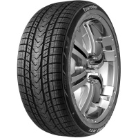 Купить шины Tourador Winter Pro Max 245/40 R19 98V XL,  купить Шины Tourador Winter Pro Max 245/40 R19 98V XL в Архангельске,Северодвинске, Новодвинске, Плесецке, Мирном, Нарьян-маре,