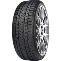 Купить шины Gripmax SureGrip eWinter 245/45 R17 99V XL,  купить Шины Gripmax SureGrip eWinter 245/45 R17 99V XL в Архангельске,Северодвинске, Новодвинске, Плесецке, Мирном, Нарьян-маре,