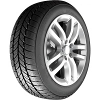 Купить шины RoadX RXFrost WH01 195/45 R16 84H XL,  купить Шины RoadX RXFrost WH01 195/45 R16 84H XL в Архангельске,Северодвинске, Новодвинске, Плесецке, Мирном, Нарьян-маре,