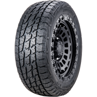 Купить шины Landspider WildTraxx A/T 245/70 R17 110T RWL,  купить Шины Landspider WildTraxx A/T 245/70 R17 110T RWL в Архангельске,Северодвинске, Новодвинске, Плесецке, Мирном, Нарьян-маре,