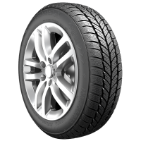 Купить шины RoadX RXFrost WH01 205/50 R16 87H,  купить Шины RoadX RXFrost WH01 205/50 R16 87H в Архангельске,Северодвинске, Новодвинске, Плесецке, Мирном, Нарьян-маре,