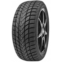 Фото автомобильной шины Delinte Winter WD6 205/50 R17 93H XL