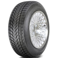 Фото автомобильной шины Landsail Winter Lander 235/65 R18 106T