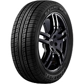 Radial RP26