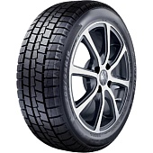 WinterCross Taga WP10