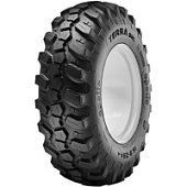 Terra BHL