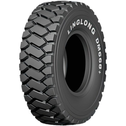 Linglong DM668 + E4 16/0 R25 180B