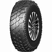 Фото автомобильной шины Terrena M/T