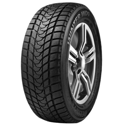 Delinte Winter WD1 205/60 R16 96H XL